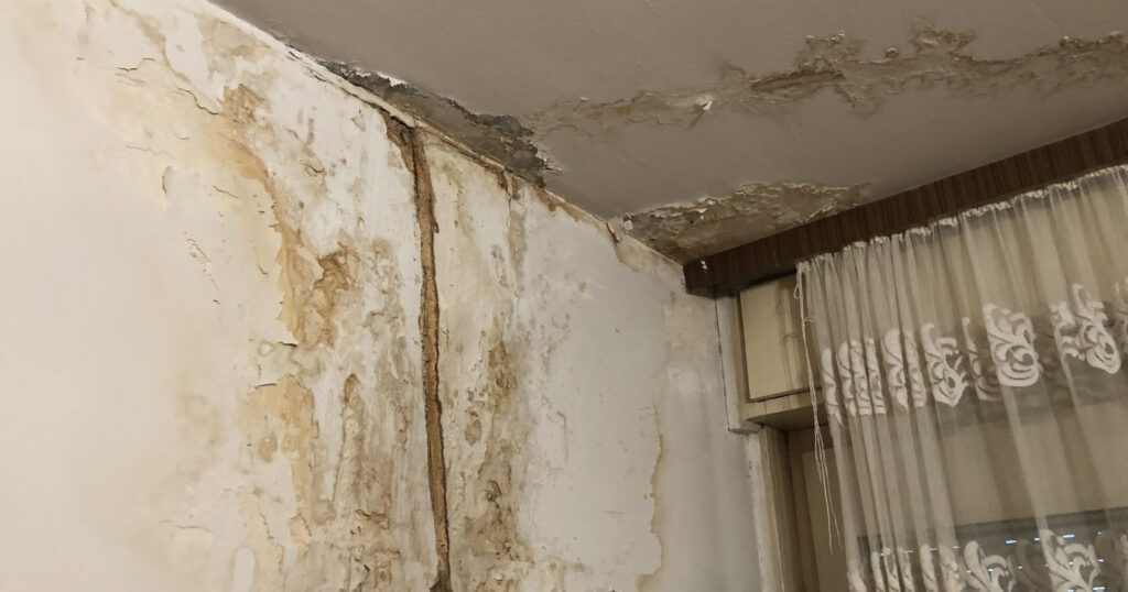 vlaga na zidu - ilustracija